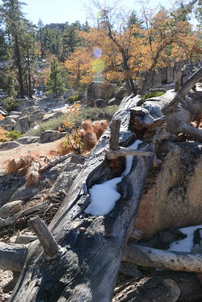 DSC_5112 (Large).JPG